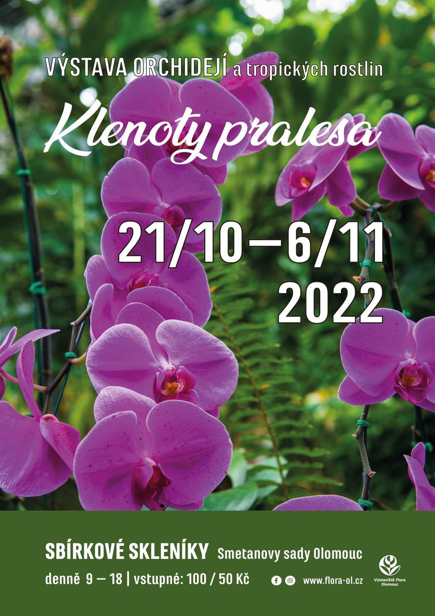 Klenoty pralesa - Výstava orchidejí a tropických rostlin.jpg